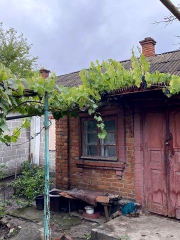 Здоровий будинок неподалік колледжу