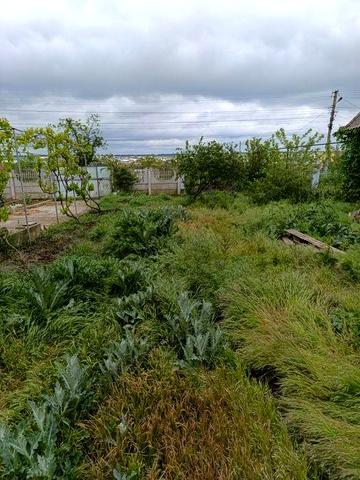 Рассрочка! (Год) Дом в Овидиополе