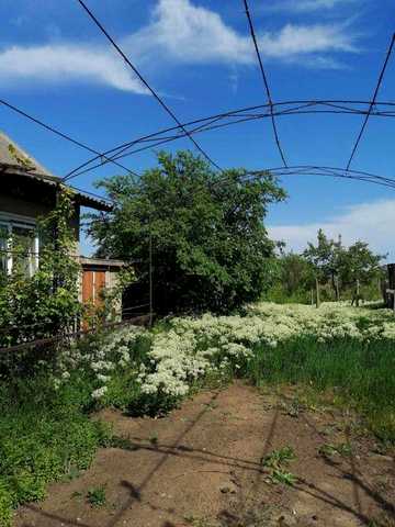 Продам дом с Выпасное (центр)