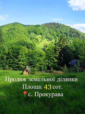 Прокурава, Косівський, Івано-Франківська область 25000 USD