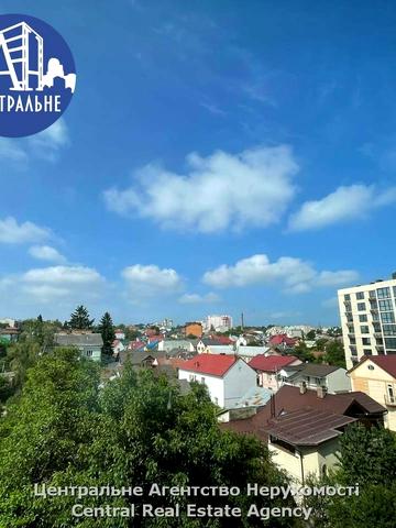 Володимира Великого вул., 91а