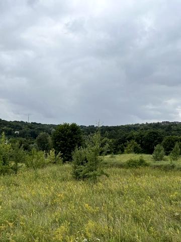 Єлисеївська