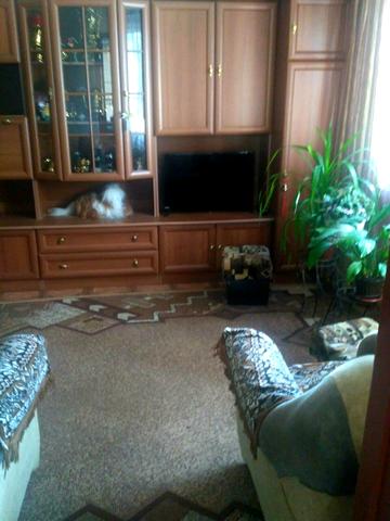 Лузанівська вул., 71