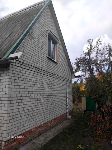 Дача возле леса , Самарь Решкут.