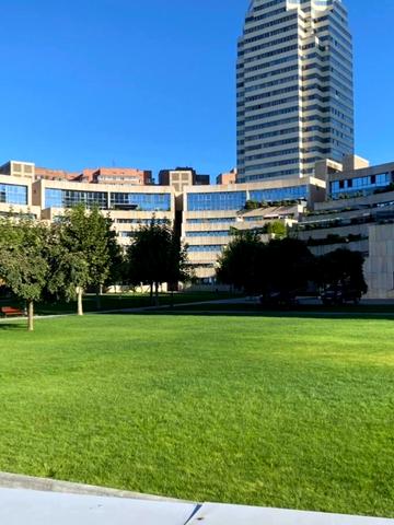 Володимира Вернадського вул. (Дзержинського), 35-А