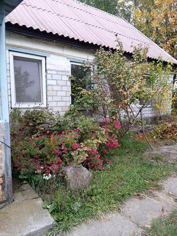 Продам будинок в с.Погреби