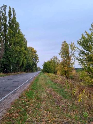 Стайки, Обухівський, Київська область 32000 USD