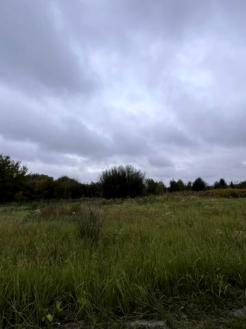 Левадна вул.