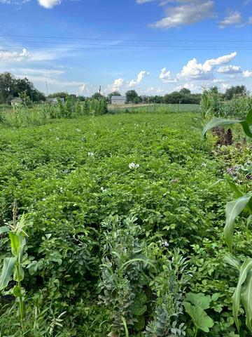 Полоничі, Золочівський, Львівська область 9000 USD