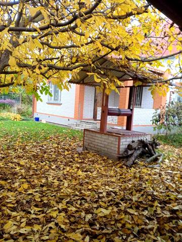 Ватутина, 12