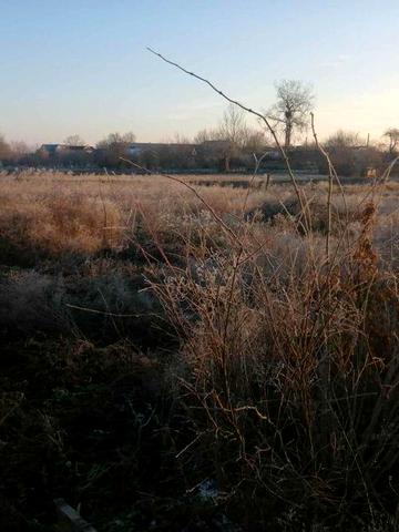 Продам будинок смт Заболотів