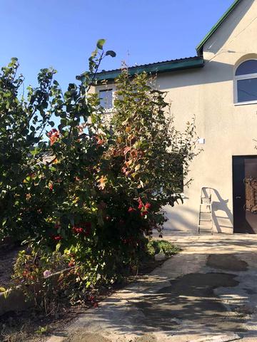 Горностаєва