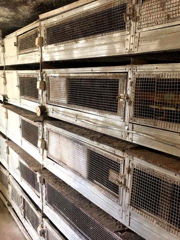 Миру вул. (Культурна), 44