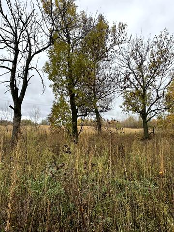 Козаровичі, Вишгородський, Київська область 44000 USD