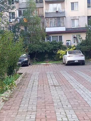 Продаж 1к Квартира Євгена Чикаленка (Академіка Вільямса) вулиця