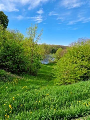 Будинок на першій лінії ставка