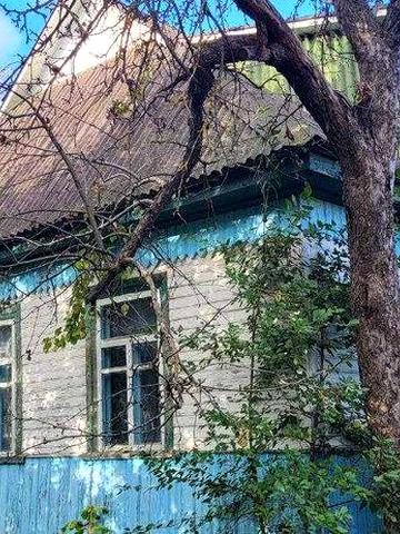 Продається будинок, Київська область, Бучанського р., с. Андріївка