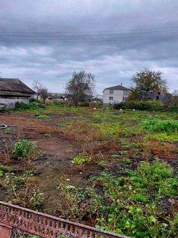 Продається будинок с.Конюшки з великою земельною ділянкою.