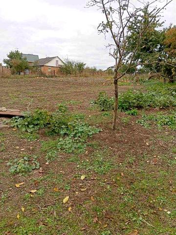 (5) Продаж будинку в Тиврові 8916