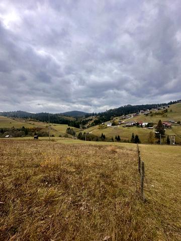 Поляниця, Надвірнянський, Івано-Франківська область 446460 USD