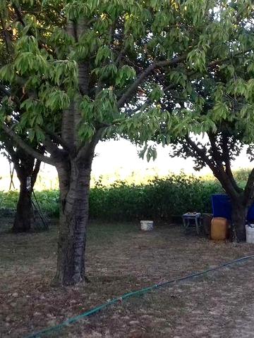 Дом поселок Титорове ( Горького )Днепровский район