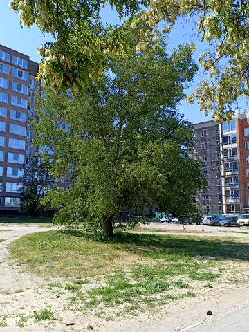 287-й квартал вул., 60