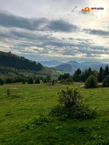 Красник, Верховинський, Івано-Франківська область 80000 USD