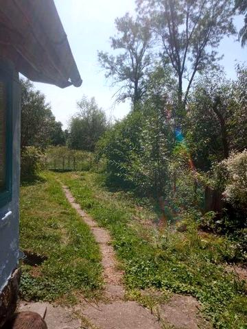 Продам будинок в мальовничому селі      ‼️ СРОЧНО ‼️