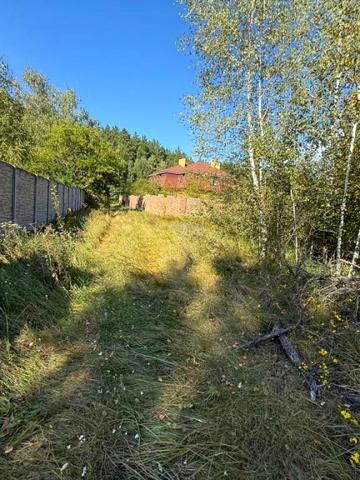 Лесі Українки