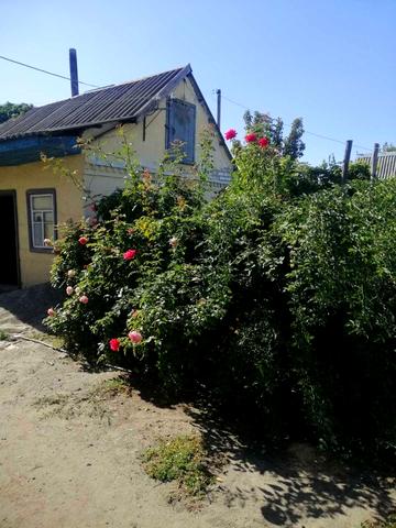 Велика Діївська вул. (Братів Трофімових), 549