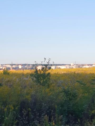Агрономічне, Вінницький, Вінницька область 18000 USD