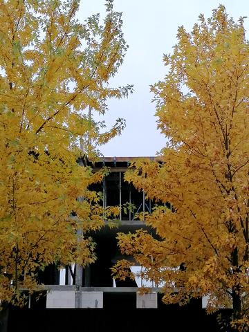 Поліська вул., 11