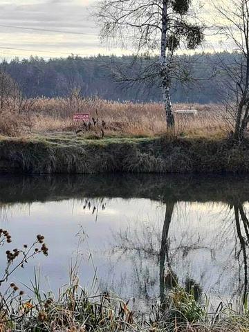 Центральна площа, Ірпінь, Бучанський, Київська область 10000 USD