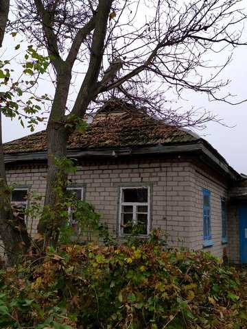 Продажа дома Белецковка (17 соток)