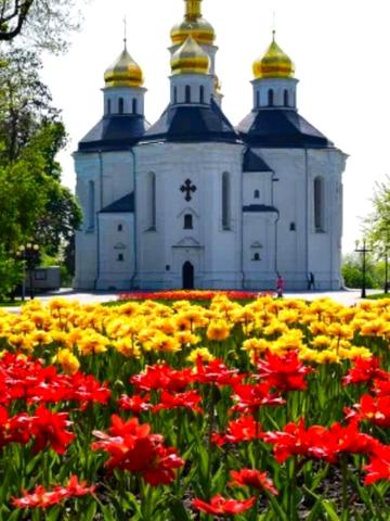 Княжа вул. (Кирпоноса), 21