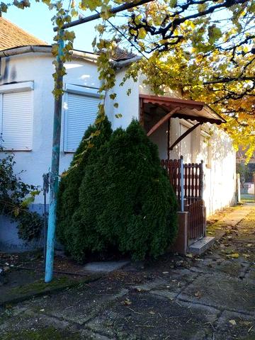 Продам дом Закарпатье ВелыкиБереги