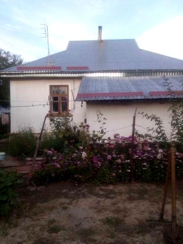 Довгострокова оренда будинку для жінки