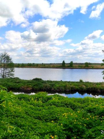 Будинок Степань- Погулянка