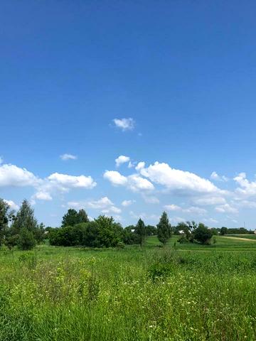 Гурівщина, Бучанський, Київська область 20000 USD