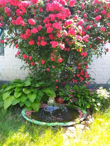 Покупцеві подарунок Ford Kuga 4х4 Будинок 80 кв. 15 сот.  гараж та інш