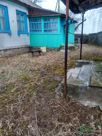 Садиба по трасі Чернігів-Київ. Село Красилівка.