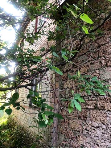 Продам дом - дачу у моря в кооперативе Гвардейский