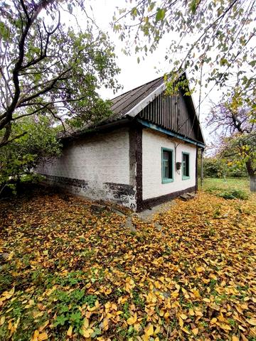 Центральна