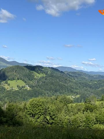 Яворів, Косівський, Івано-Франківська область 38350 USD