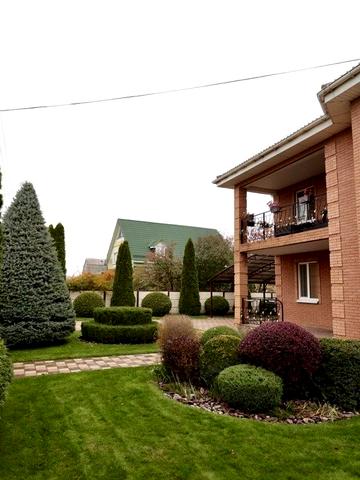 Центральна вул.