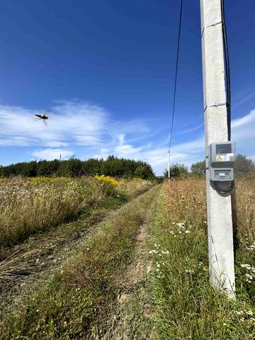 Поршна, Львівський, Львівська область 150000 USD