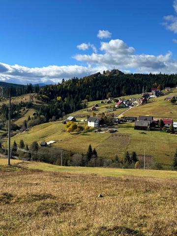 Поляниця, Надвірнянський, Івано-Франківська область 370000 USD