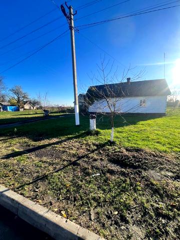 Відродження, 1