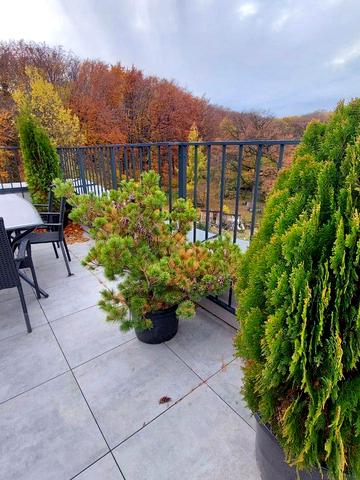 Петра Лодія вул., 6