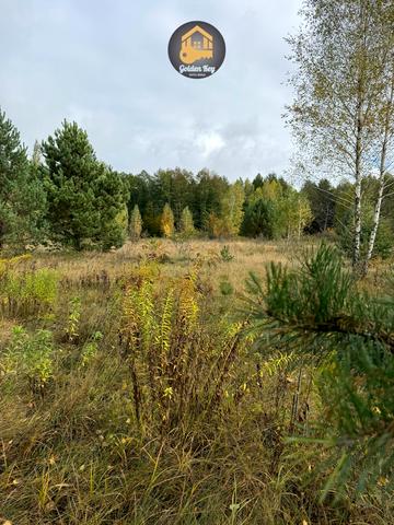 Рови, Вишгородський, Київська область 35000 USD